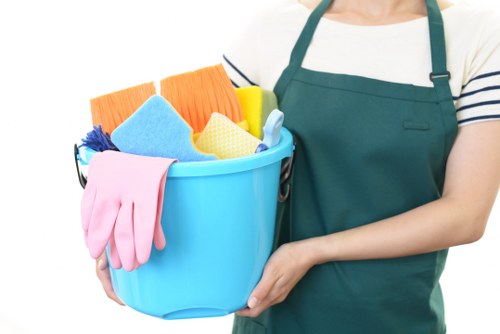 Domestic cleaner in Kentish Town preparing a tidy living room