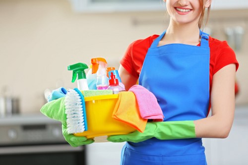 Professional stain removal for carpets in Kentish Town homes