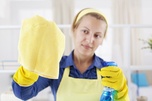 Upholstery cleaning service for a sofa in a Kentish Town home