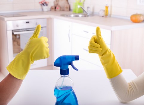 Professional oven cleaning service for a Kentish Town home kitchen
