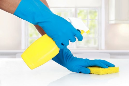 Professional mattress cleaning service for a home in Kentish Town