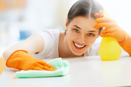 Deep mattress cleaning process in a local Kentish Town property