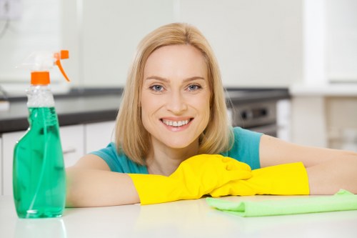 Professional steam carpet cleaning service for Kentish Town homes