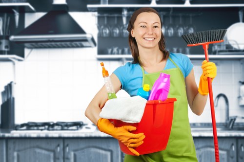 Local upholstery cleaning for a modern living room sofa