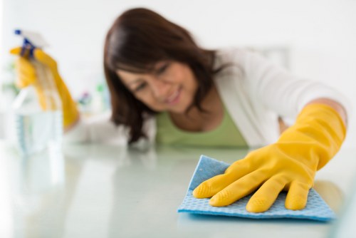 Local oven cleaning technician working in a Kentish Town flat