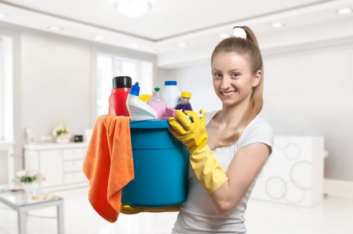 Specialist deodorising treatment for mattress and soft furnishings