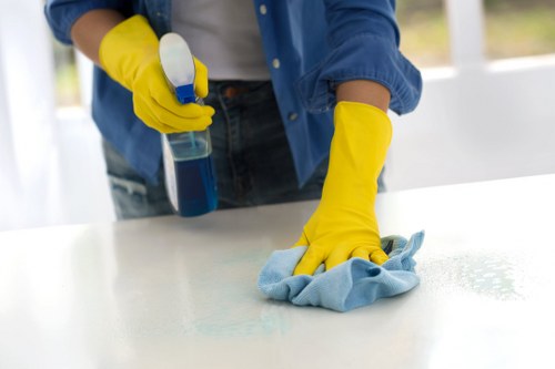 Commercial stain removal for offices and customer areas in Kentish Town