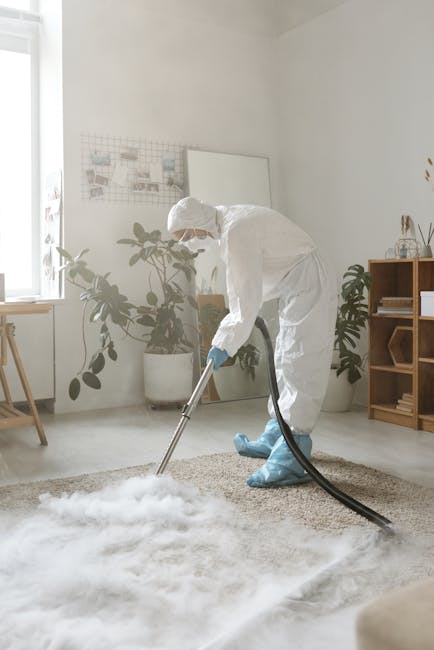 A professional cleaner dressed in a white protective suit, gloves, and a face mask is using a vacuum or steam cleaning device to deep clean a beige carpet in a well-lit living room. The room features white painted walls, large windows allowing natural light to illuminate the space, and potted houseplants on the floor and windowsill. A wooden shelving unit holds decorative items and plants, while a small side table is positioned near the window. The surface cleaning process is focused on removing dust and dirt from the textured carpet, contributing to sanitisation and hygiene in the domestic setting. The scene emphasizes the thorough and detailed approach of Kentish Town Cleaners in maintaining clean and healthy living environments through professional carpet cleaning services.